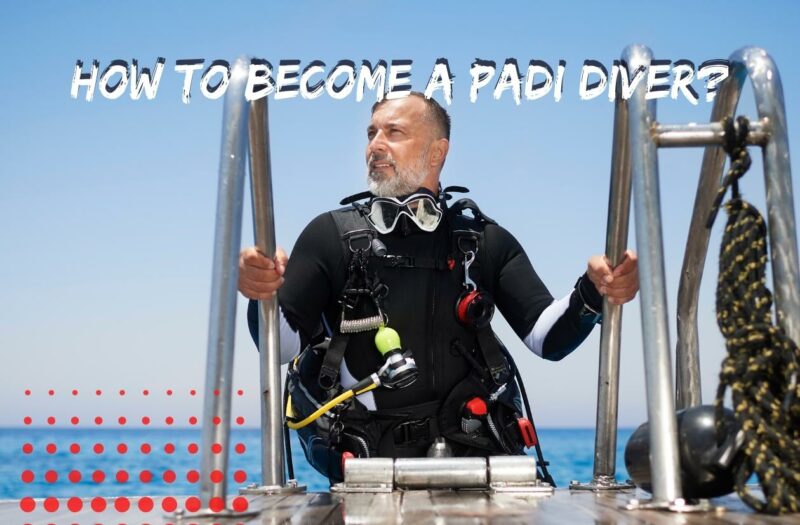 PADI Course – How to Become a PADI Scuba Diver