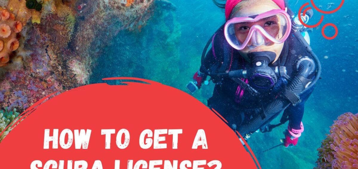 how-to-get-a-scuba-license
