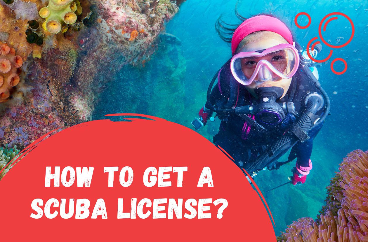 how-to-get-a-scuba-license