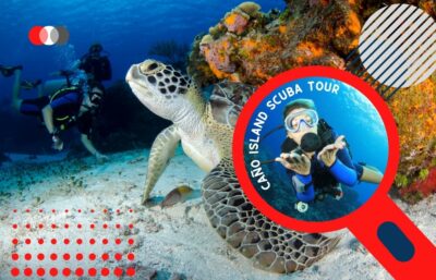 Cano Island Diving Tour – Scuba Diving from Uvita