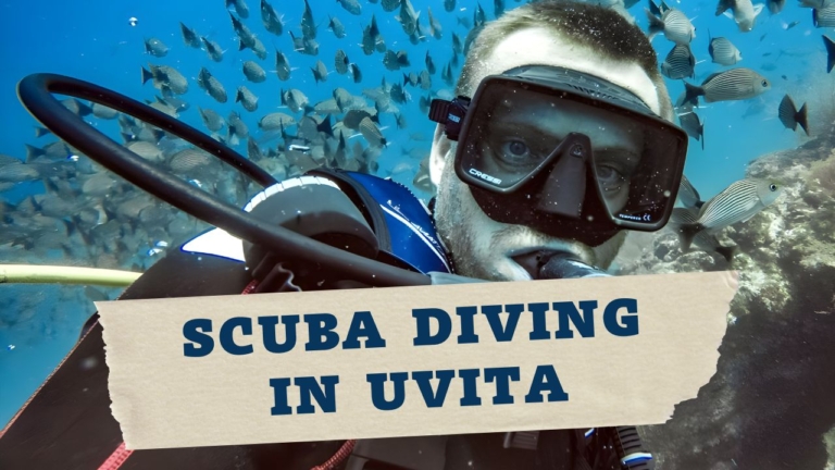 Scuba Diving in Uvita Explore Marino Ballena National Park