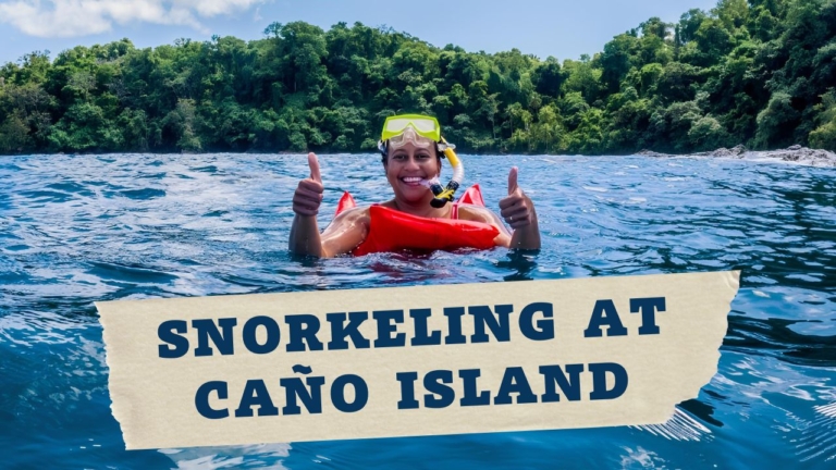 Snorkeling tour Cano Island from Uvita