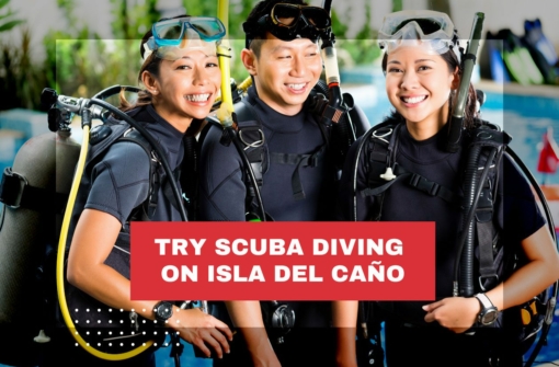 discover-scuba-diving-costa-rica-isla-del-cano
