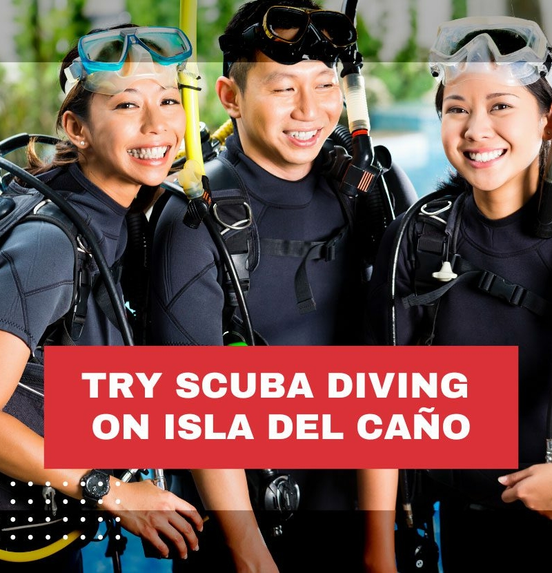 discover-scuba-diving-costa-rica-isla-del-cano
