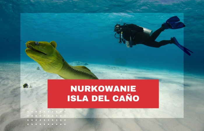 nurkowanie-kostaryka-isla-del-cano