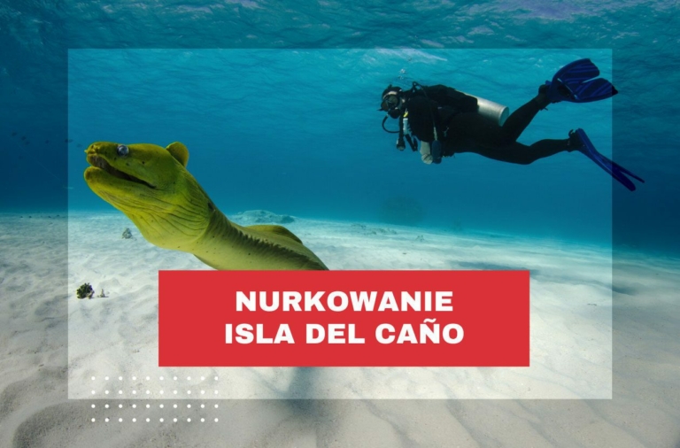 nurkowanie-kostaryka-isla-del-cano