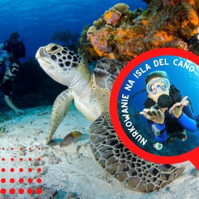 nurkowanie isla del cano kostaryka wycieczka