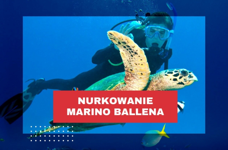 nurkowanie-kostaryka-marino-ballena