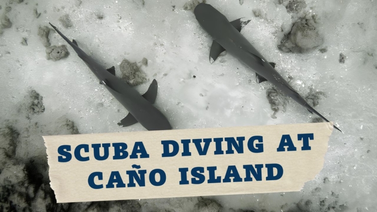 scuba diving at cano island in costa rica