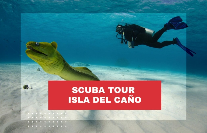 scuba-tour-isla-del-cano-costa-rica