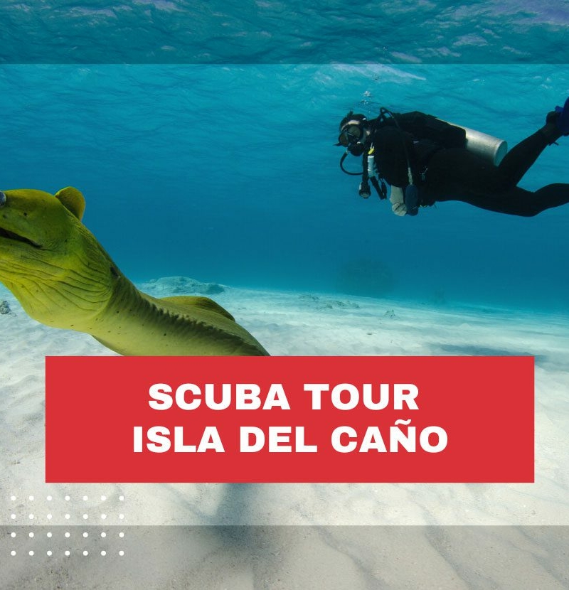 scuba-tour-isla-del-cano-costa-rica