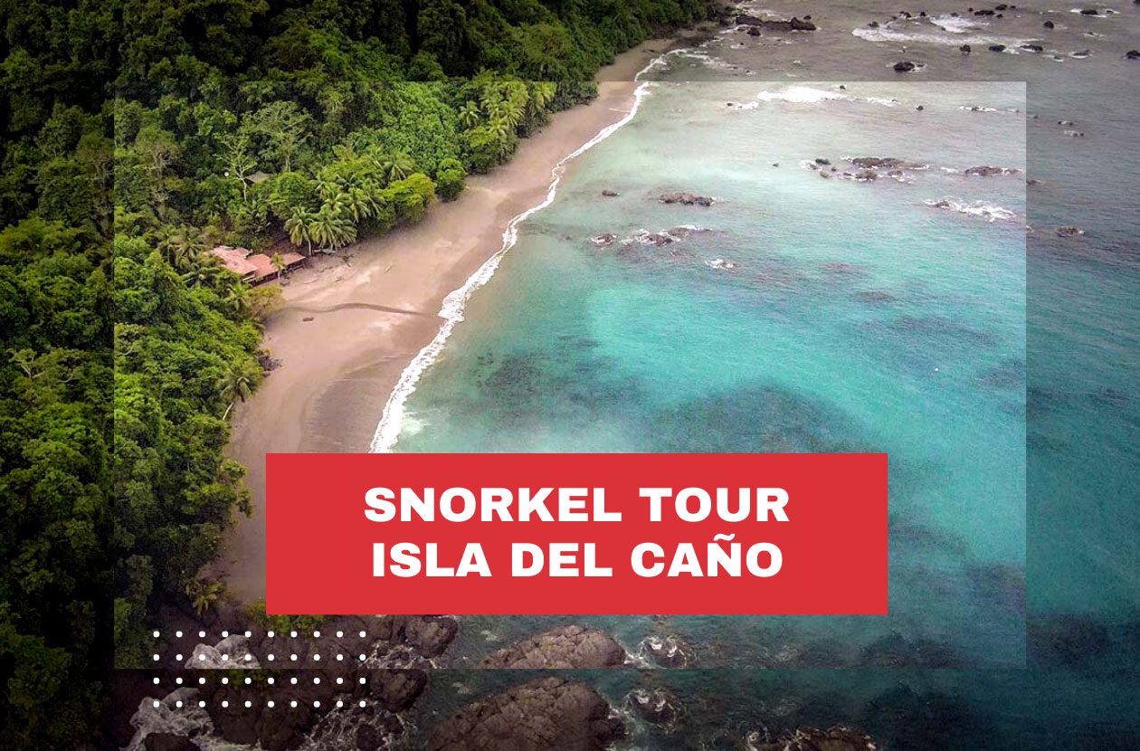 Snorkeling on Isla del Caño 