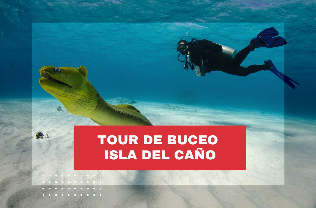tour-de-buceo-isla-del-cano-costa-rica