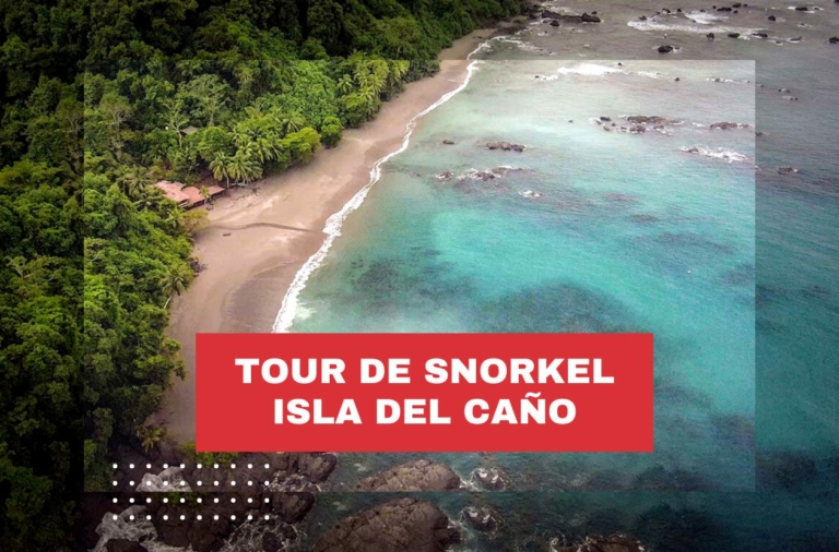 tour-de-snorkel-costa-rica-isla-del-cano