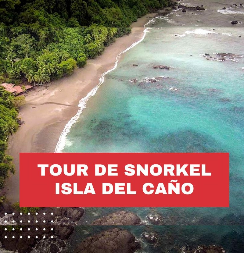 tour-de-snorkel-costa-rica-isla-del-cano