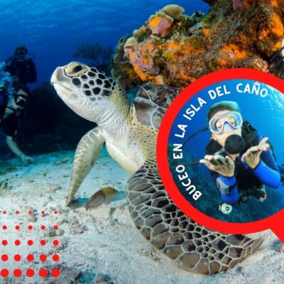 Buceo Snorkeling Padi Centro De Buceo En Costa Rica