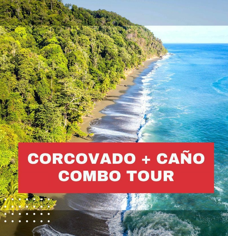 corcovado-isla-del-cano-combo-tour