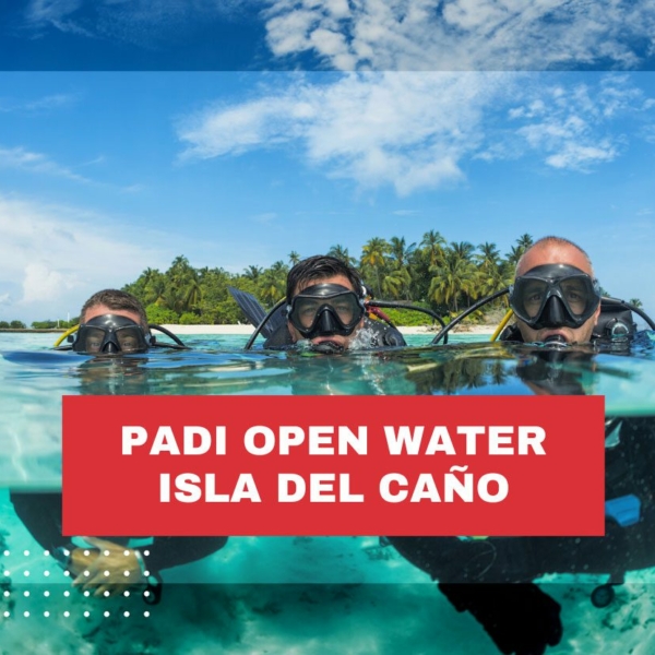 padi-open-water-costa-rica-isla-del-cano