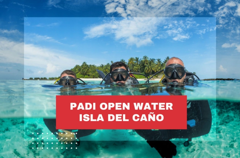 padi-open-water-costa-rica-isla-del-cano