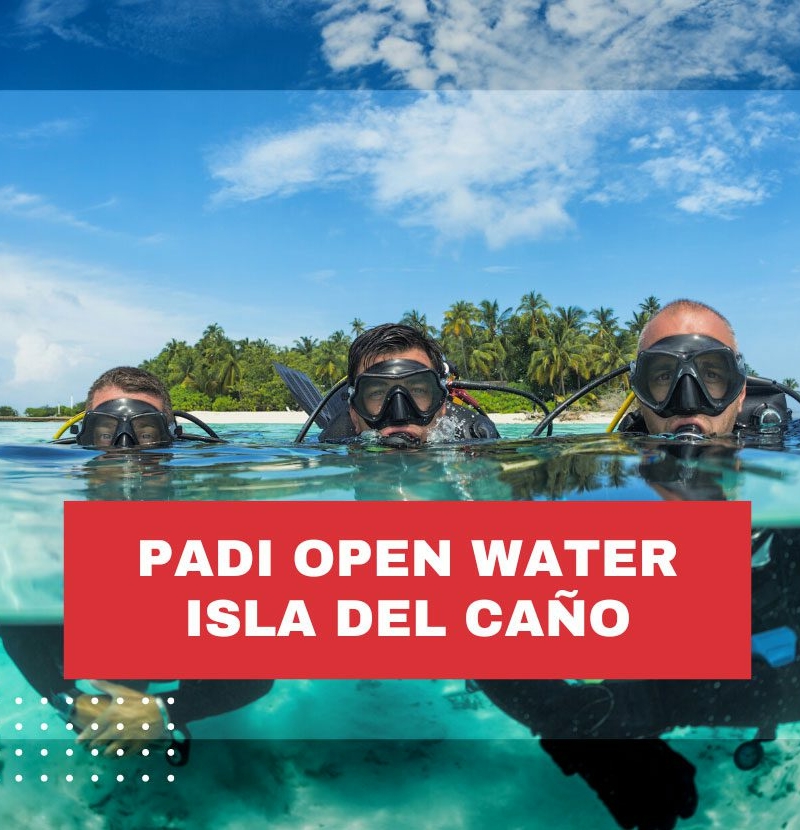 padi-open-water-costa-rica-isla-del-cano