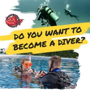How to start diving Everything you need to know about the diving course