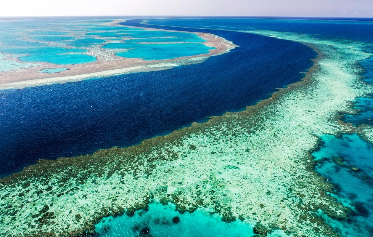 The best diving in the world - Great Barrier Reef, Australia