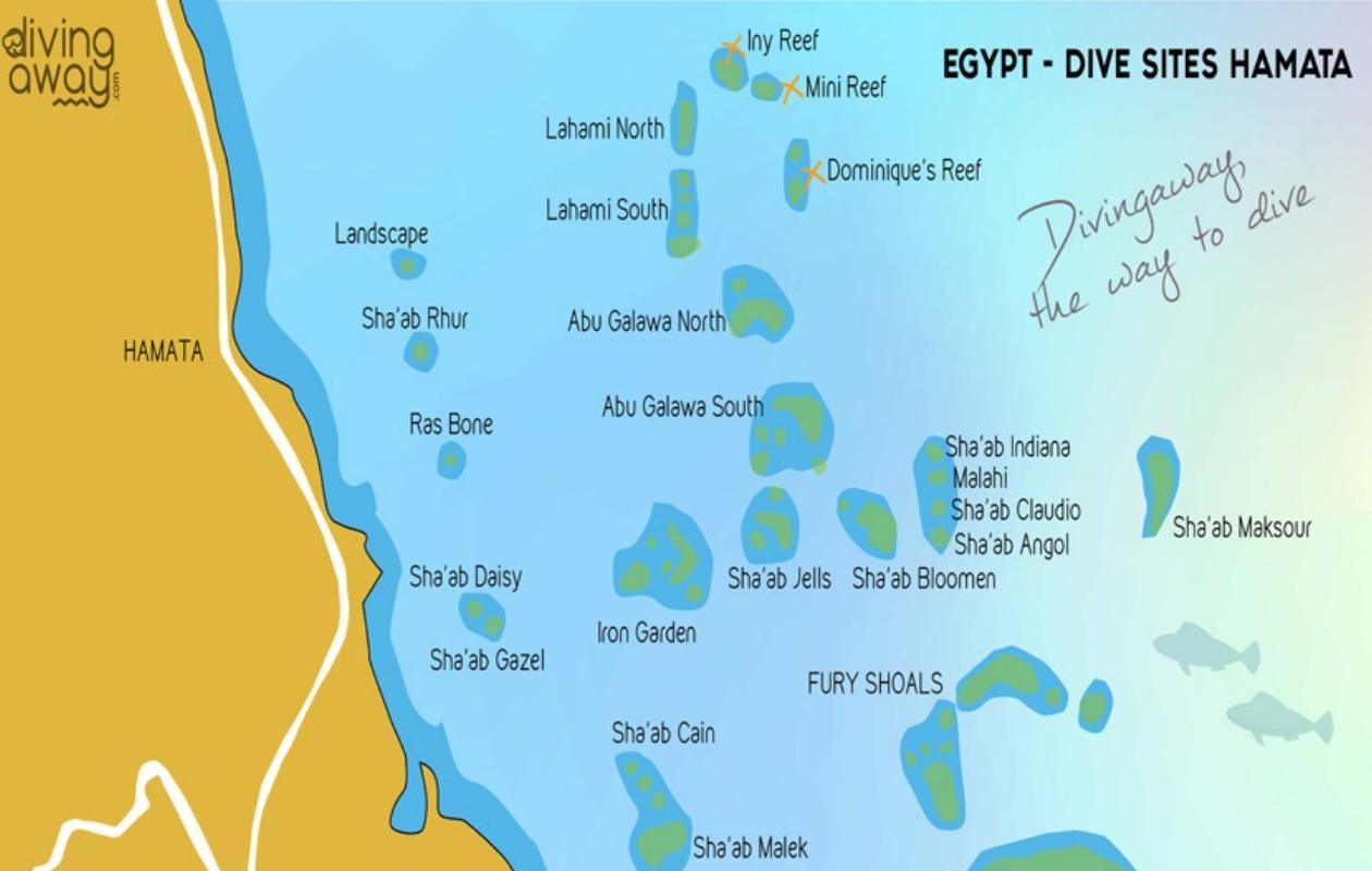 the best diving in the world Red Sea, Egypt