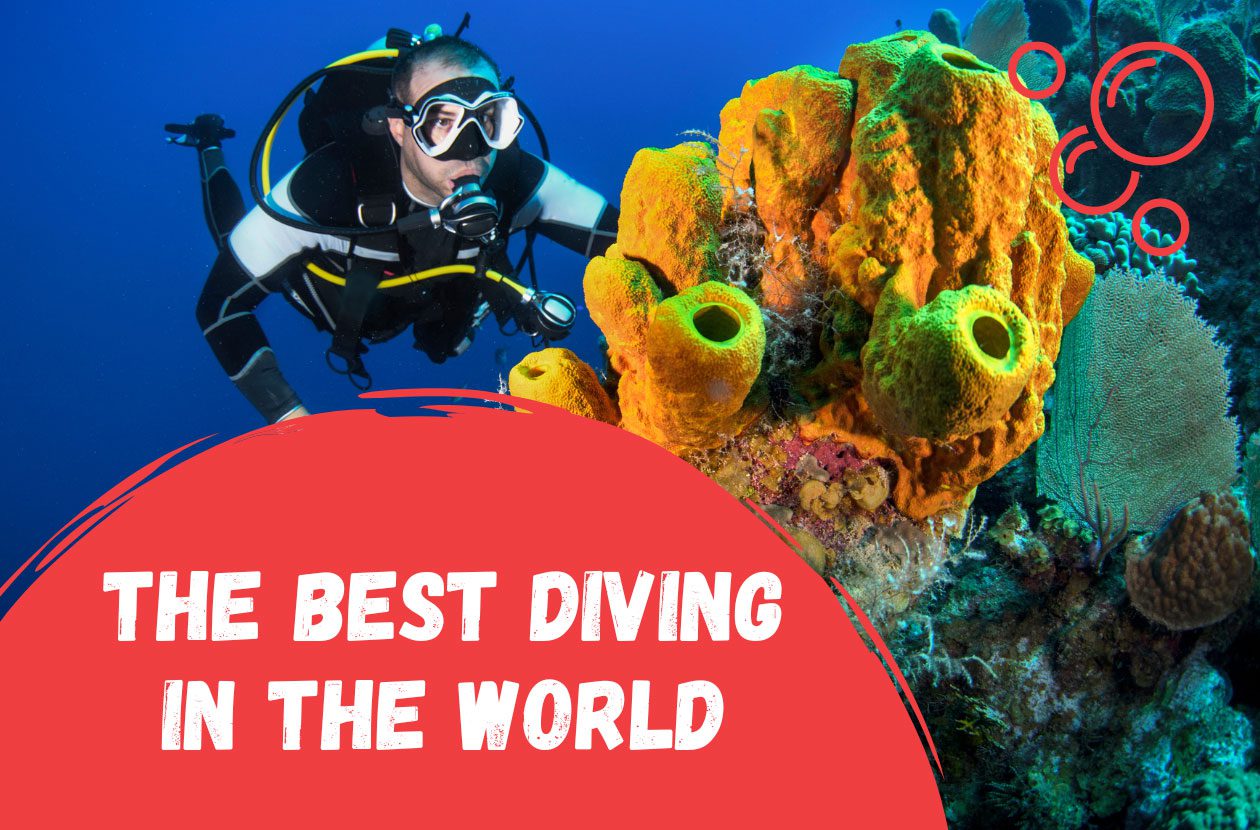 the-best-scuba-diving-in-world-top