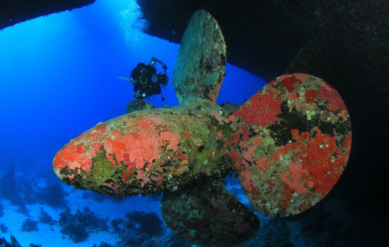 wreck diving scuba course