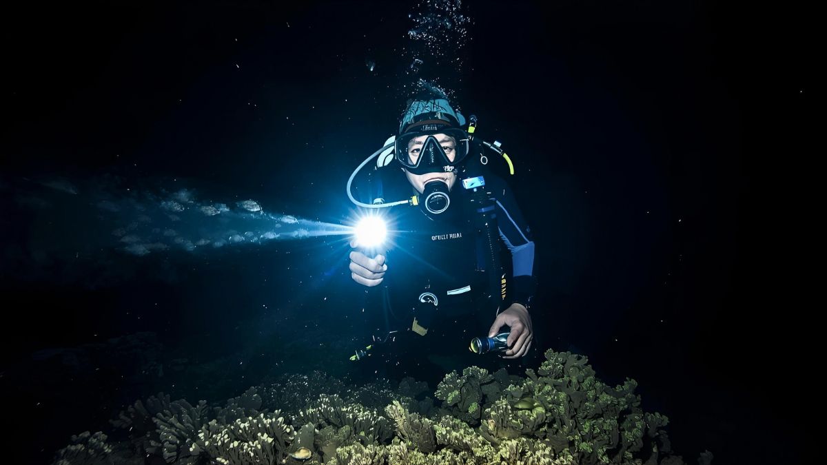 Scuba diver with regulator breathing holding bright underwater flashlight illuminating coral reef and nocturnal marine life during night dive in dark Costa Rica waters