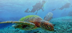 costa-rica-scuba-diving