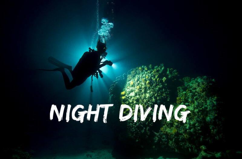 night-diving-guide