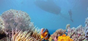scuba-diving-costa-rica