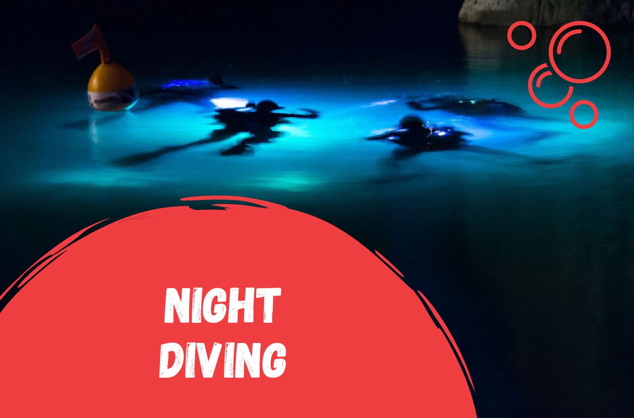 night-diving