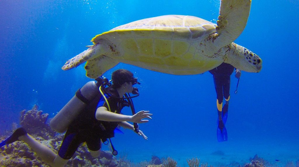 scuba-diving-in-costa-rica-isla-del-cano