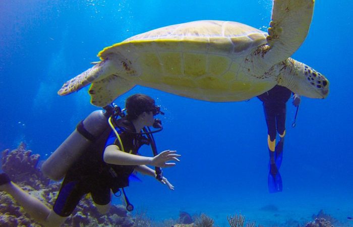 scuba-diving-in-costa-rica-isla-del-cano