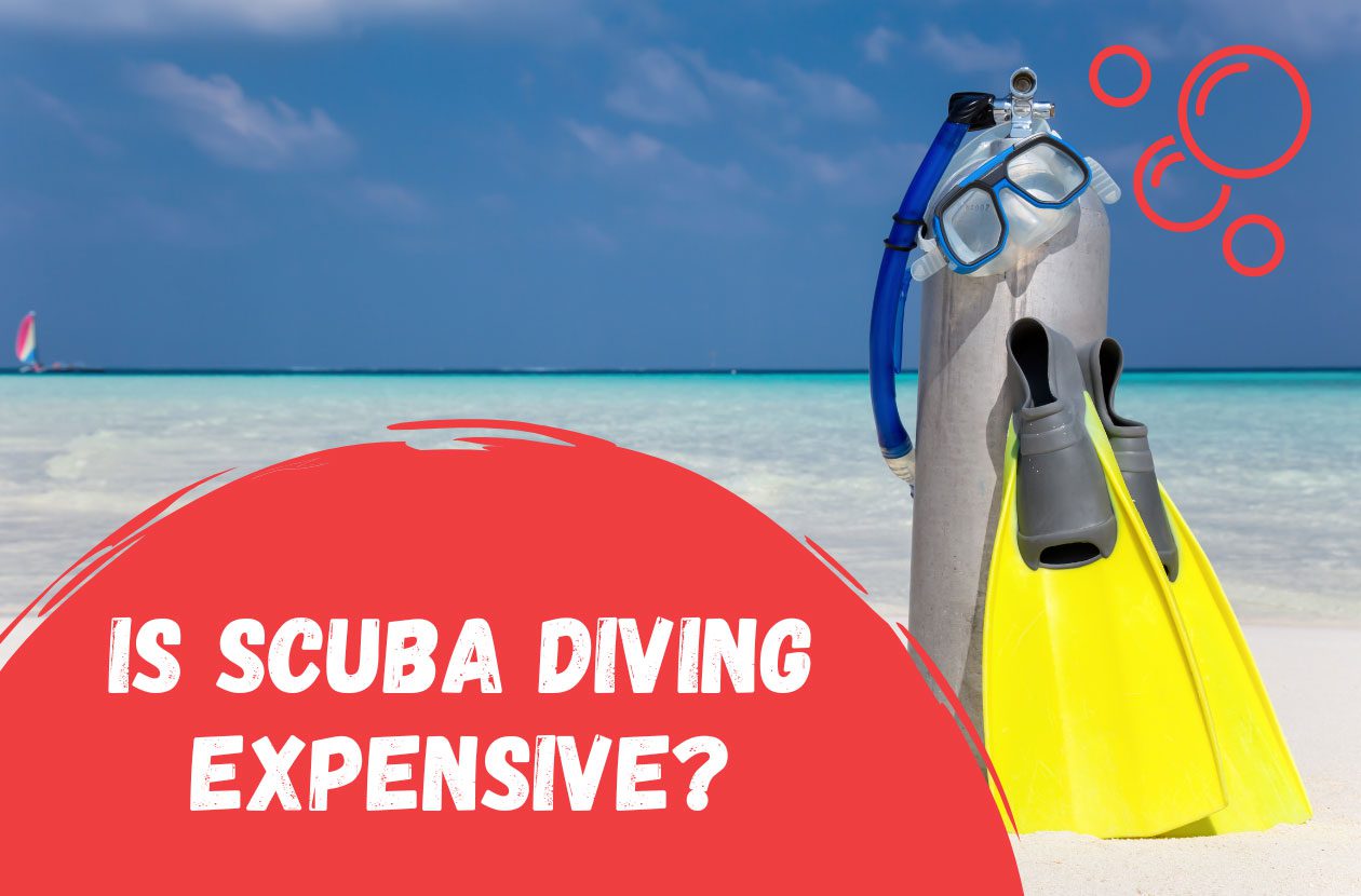 Cost-of-Scuba-Diving-Is-scuba-diving-expensive