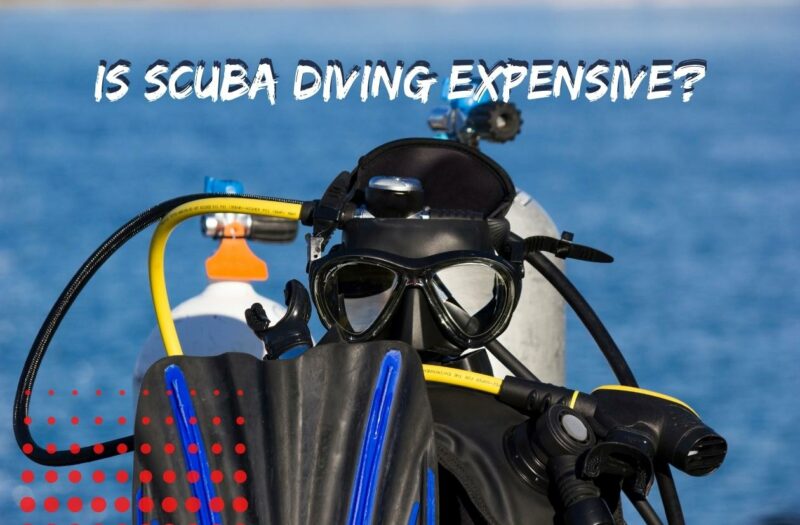 Cost of Scuba Diving – Is scuba diving expensive