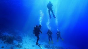 How-are-divers-trained