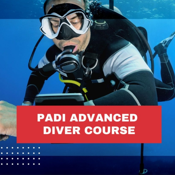 padi-advanced-diver-course-costa-rica