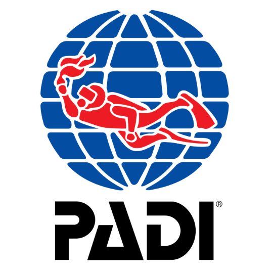 Which Is the Best Scuba Diving Organization? Understanding Certification » Costa Rica Divers What Is the Best Scuba Diving Certification PADI, SSI, CMAS, or NAUI