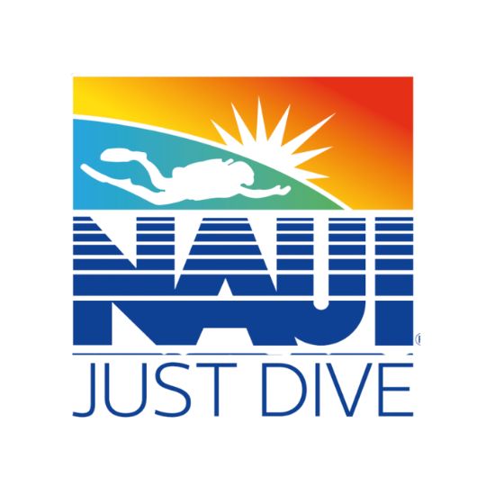 Which Is the Best Scuba Diving Organization? Understanding Certification » Costa Rica Divers Why Do Some Divers Choose NAUI Certification