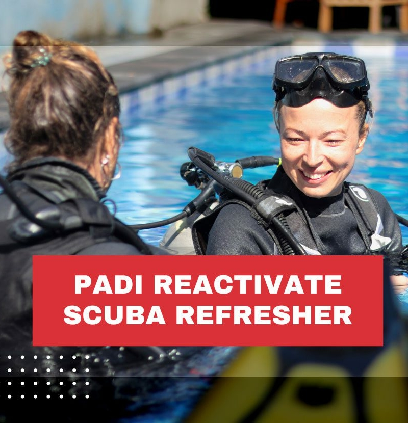 padi-reactivate-scuba-refresher