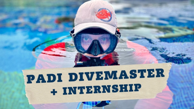 PADI Divemaster Course Hands-on Internship