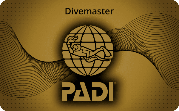 Kurs Divemaster PADI w Kostaryce