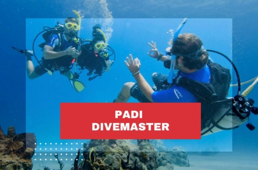 padi-divemaster-course-costa-rica