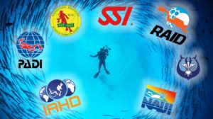 What-is-the-best-diving-organization-What-are-the-differences-in-diving-federations