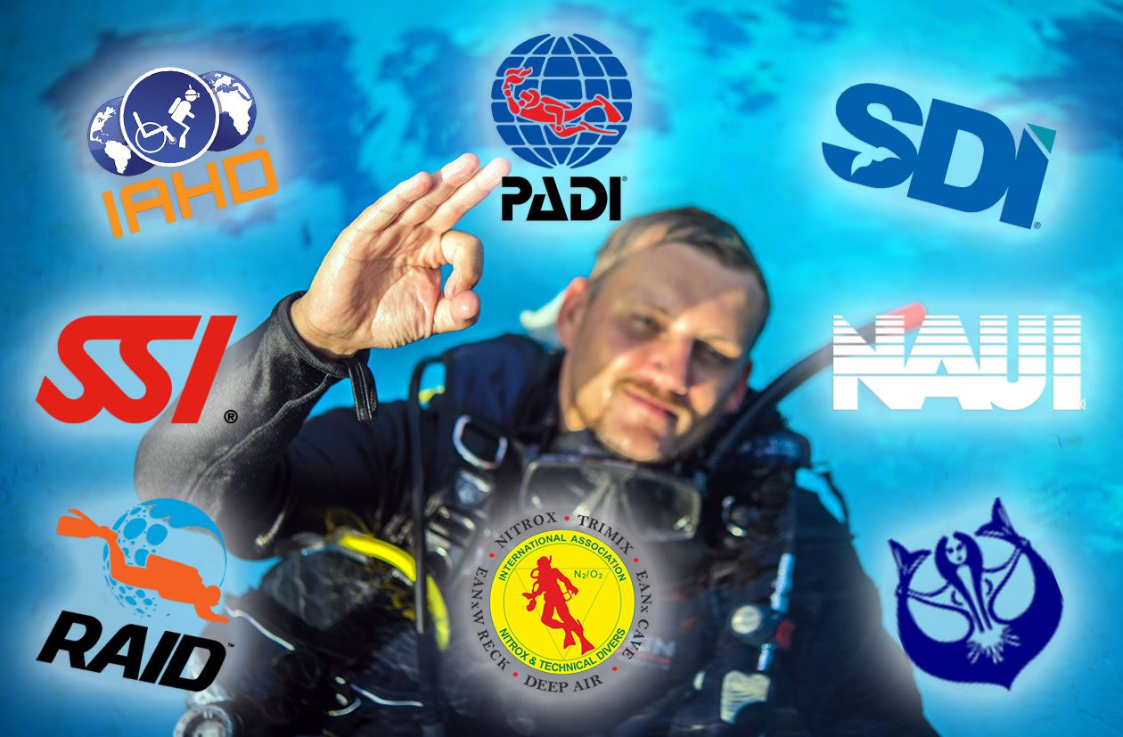 What is the best scuba diving organization