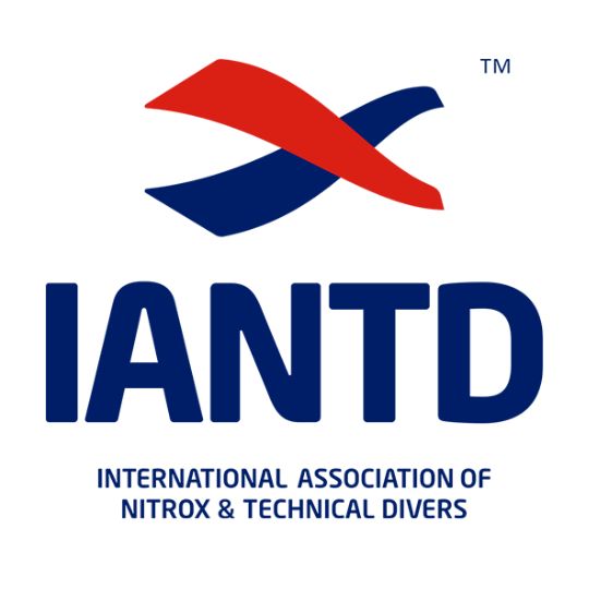 Which Is the Best Scuba Diving Organization? Understanding Certification » Costa Rica Divers Which Is the Best Scuba Diving Organization IANTD