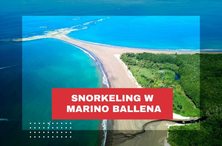 snorkeling-kostaryka-marino-ballena